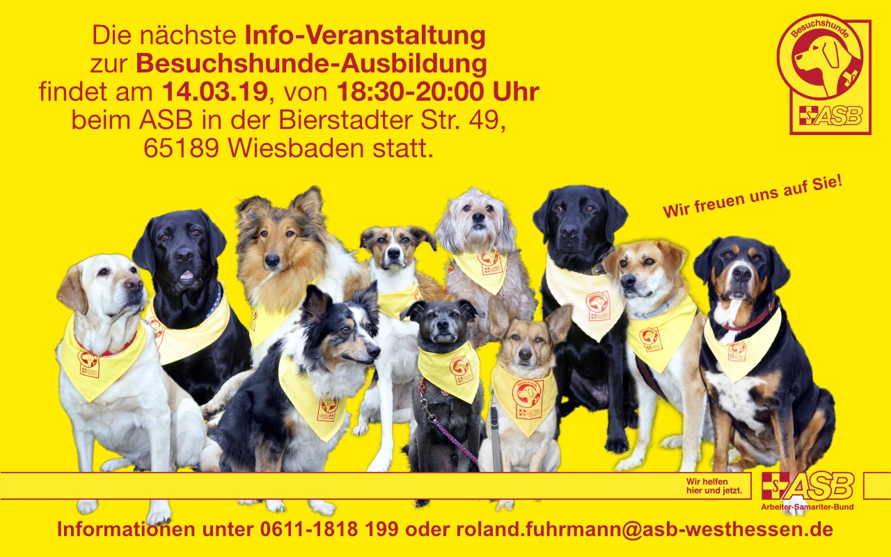 Nächste Info-Veranstaltung am 14.3.2019 von 18.30 bis 20 Uhr!